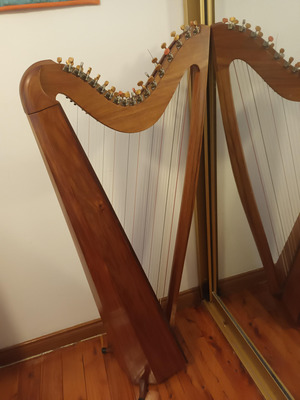 Harp_for_sale-Jane